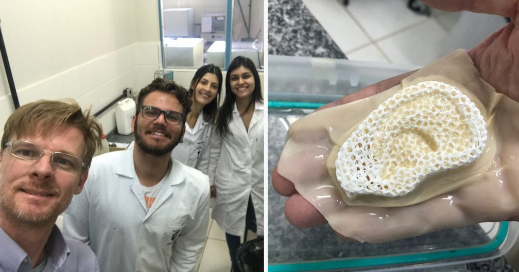 Pesquisadores brasileiros criam membrana capaz de desenvolver ossos e pele