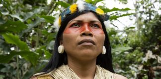 Mulher indígena ganha prêmio ambiental em defesa da floresta amazônica equatoriana.