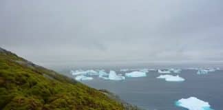 Neve fica verde na Antártica em ritmo acelerado, alertam cientistas